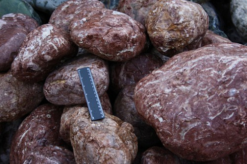 Kamenclub.ru: Розовый валунчик фр.100-300 мм.  купить в Брянске крупный природный камень розовый, серый молочный красный речной галечник природный 7850 руб/т   фото КАМЕНЬ КЛУБ