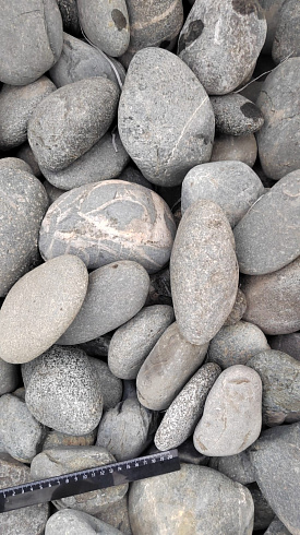 Kamenclub.ru: Галька речная окат (темно-серая) фр. 70-150 мм. купить  в Брянске галька речная темно-серая, синяя, серая речная галька округлая  8000 руб/т   фото КАМЕНЬ КЛУБ