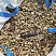 Kamenclub.ru: Галька речная окат рыжая фр. 20-40 мм. купить  в Брянске галька речная окатанная рыжая желтая серая округлая речная галька 5000 руб/т   фото КАМЕНЬ КЛУБ