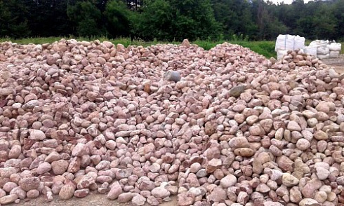 Kamenclub.ru: Розовый валунчик фр.100-300 мм.  купить в Брянске крупный природный камень розовый, серый молочный красный речной галечник природный 7850 руб/т   фото КАМЕНЬ КЛУБ