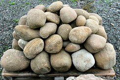 Kamenclub.ru: Песчаник ядра, фр. 100-300 мм  купить в Брянске песчаник бежевый серый рыжий речная галька 5 000 руб/т   фото КАМЕНЬ КЛУБ