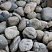 Kamenclub.ru: Речной валун (Ассорти) фр.100-300 мм.  купить в Брянске галечник серый, темно-серый, светло-серый речная галька крупных размеров 4200 руб/т   фото КАМЕНЬ КЛУБ