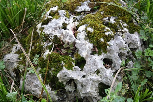 Kamenclub.ru: Выветренный известняк со мхом фр. 100-500 мм.  купить в Брянске известняк серый белый зеленый валун известняковый крупный 10000 руб/т   фото КАМЕНЬ КЛУБ