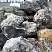 Kamenclub.ru: Черный гранит - кварцит фр. 100-500 мм.  купить в Брянске мрамор гранит черный с белыми прожилками, серый, белый валун скальный колотый 7000 руб/т   фото КАМЕНЬ КЛУБ