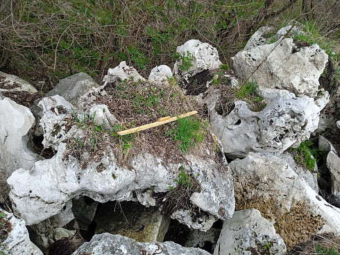 Kamenclub.ru: Выветренный известняк (степной) фр. 500-1500 мм.  купить в Брянске    10000 руб/т   фото КАМЕНЬ КЛУБ