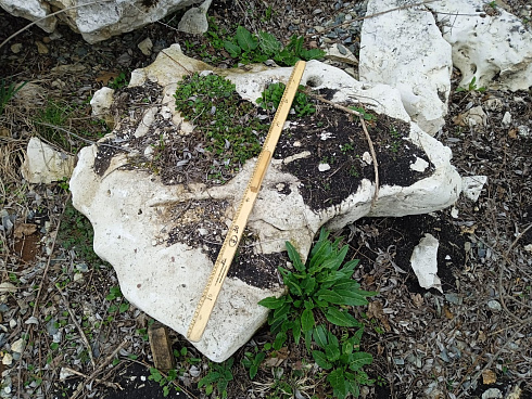 Kamenclub.ru: Выветренный известняк (степной) фр. 500-1500 мм.  купить в Брянске    10000 руб/т   фото КАМЕНЬ КЛУБ