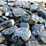 Kamenclub.ru: Щебень галтованный черный (мрамор) фр.20-40 мм.  купить в Брянске мрамор черный с белыми прожилками мрамор окатанный округлый 15000 руб/т   фото КАМЕНЬ КЛУБ