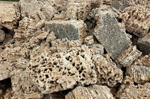 Kamenclub.ru: Крымский природный меотис фр. 100-500 мм.  купить в Брянске меотис бежевый рыжий молочный желтый ракушечник 4 500 руб/т   фото КАМЕНЬ КЛУБ