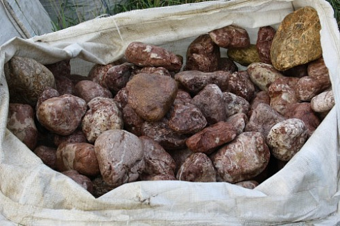 Kamenclub.ru: Розовый валунчик фр.100-300 мм.  купить в Брянске крупный природный камень розовый, серый молочный красный речной галечник природный 7850 руб/т   фото КАМЕНЬ КЛУБ