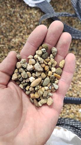 Kamenclub.ru: Галька окат (серо-желтая) фр.5-10 мм. купить  в Брянске галька речная рыжий, желтый, рыжий, серо-желтый речная окатанная галька декоративная 5000 руб/т   фото КАМЕНЬ КЛУБ